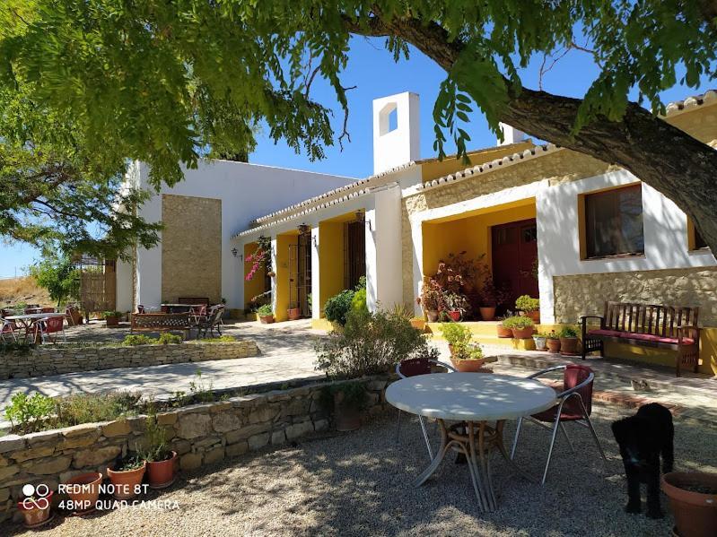 Bed and Breakfast La Escuela Del Campo Setenil De Las Bodegas Экстерьер фото